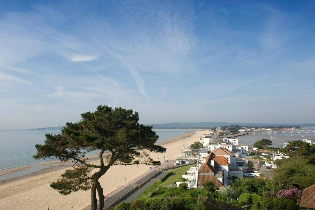 Bournecoast: Lovely Annex With Patio Nr Beach-5286 Bournemouth Ngoại thất bức ảnh