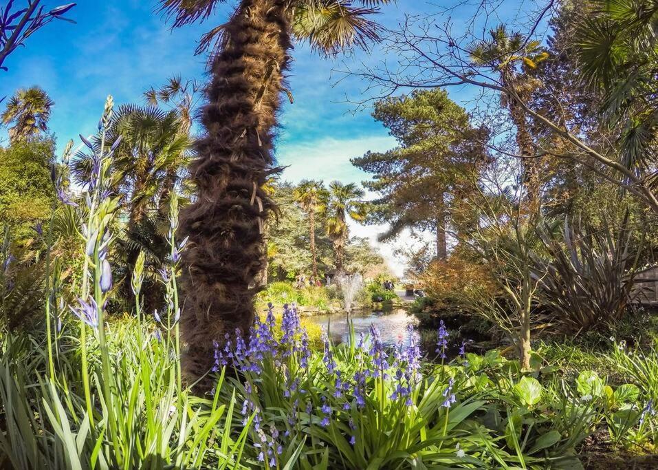 Bournecoast: Lovely Annex With Patio Nr Beach-5286 Bournemouth Ngoại thất bức ảnh
